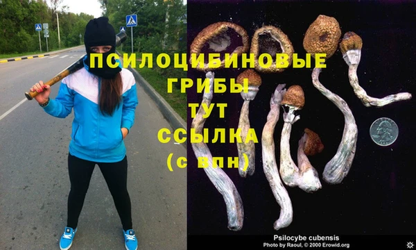 винт Алексин