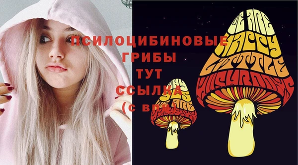 герыч Алзамай