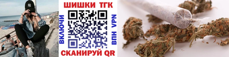 купить Кувшиново Конопля SATIVA & INDICA